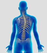 Adult Scoliosis