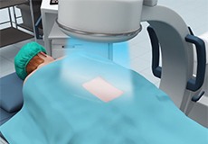 Image-Guided Spine Surgery